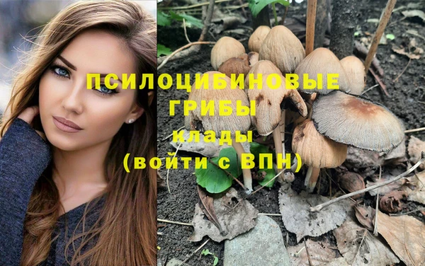 гидропоника Абаза